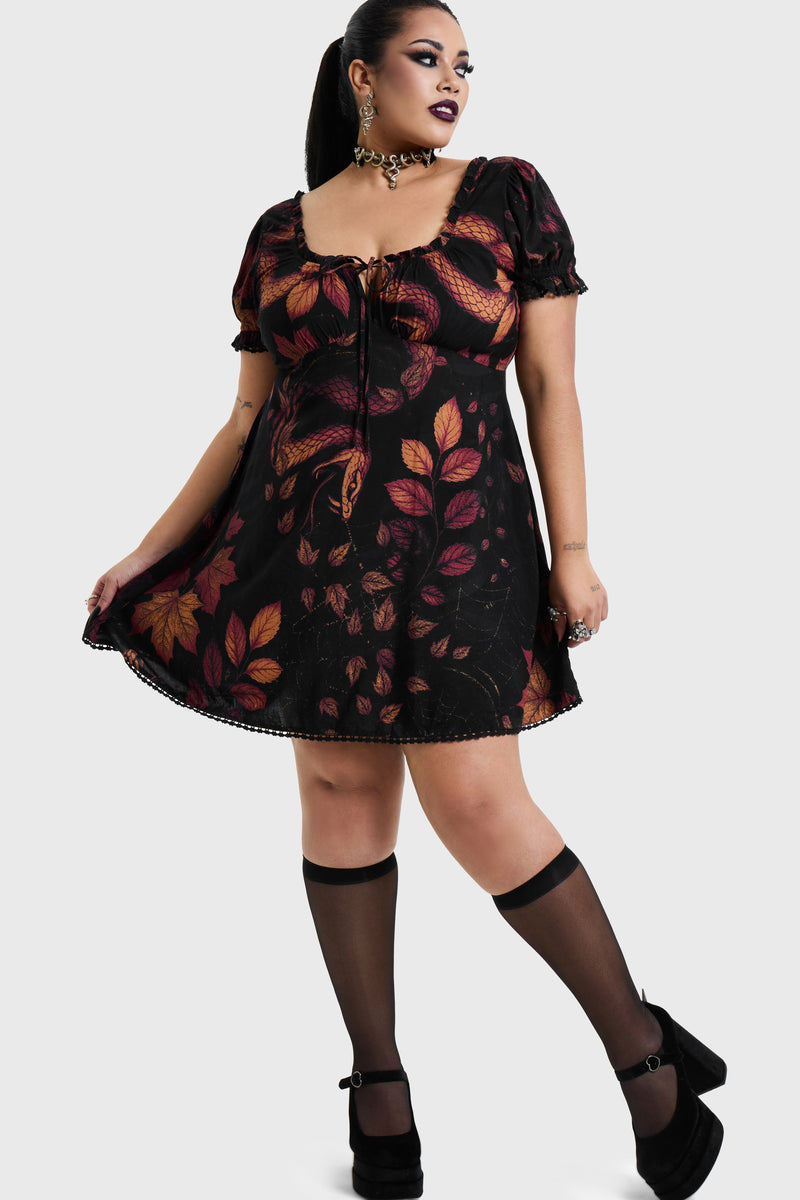 Model:plus