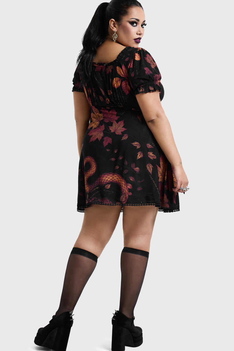 Model:plus