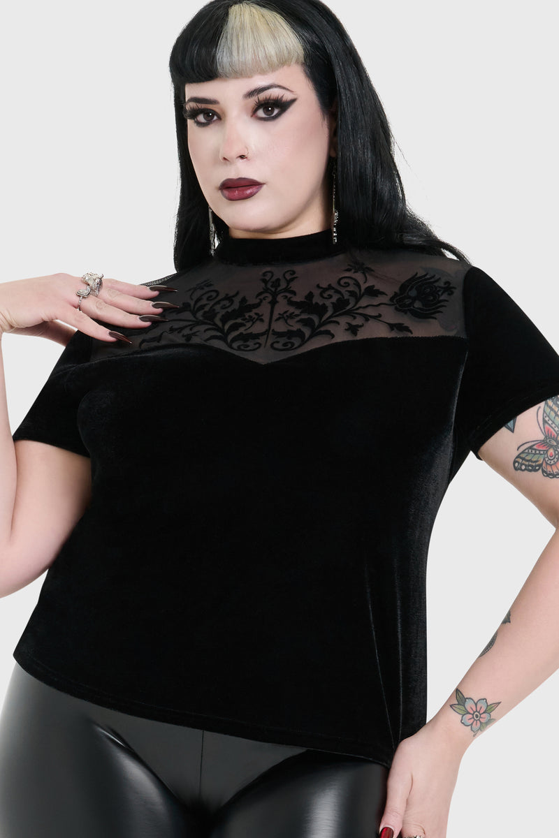 Model:plus