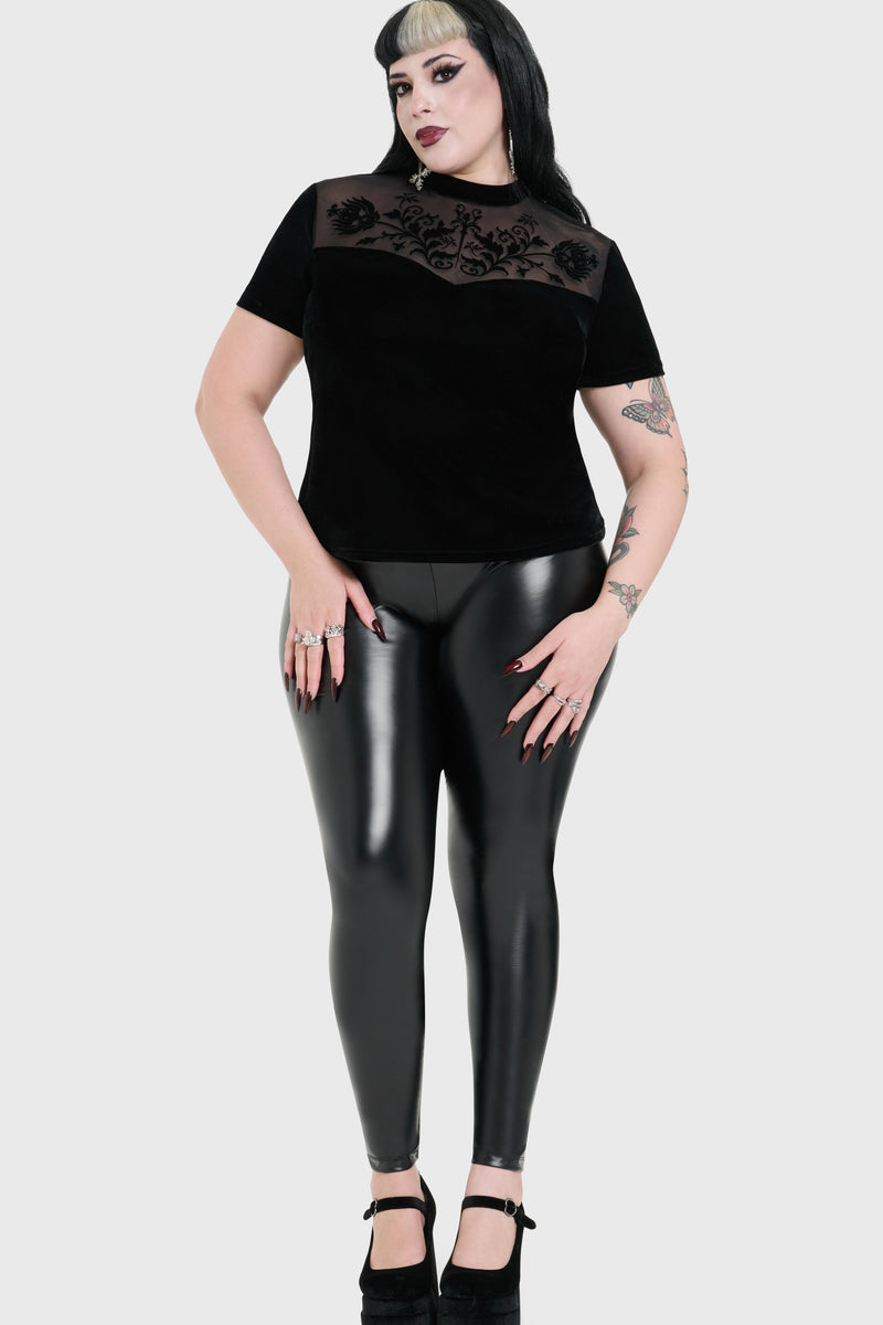 Model:plus