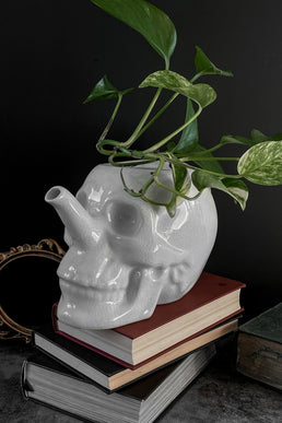 Cranium Plant Pot