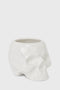 Cranium Planter