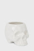 Cranium Planter
