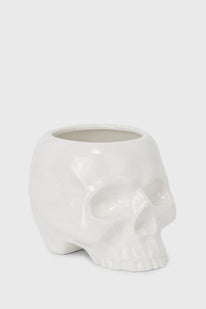 Cranium Planter