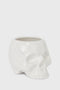 Cranium Planter