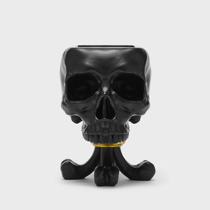 Cranium Jewellery Storage