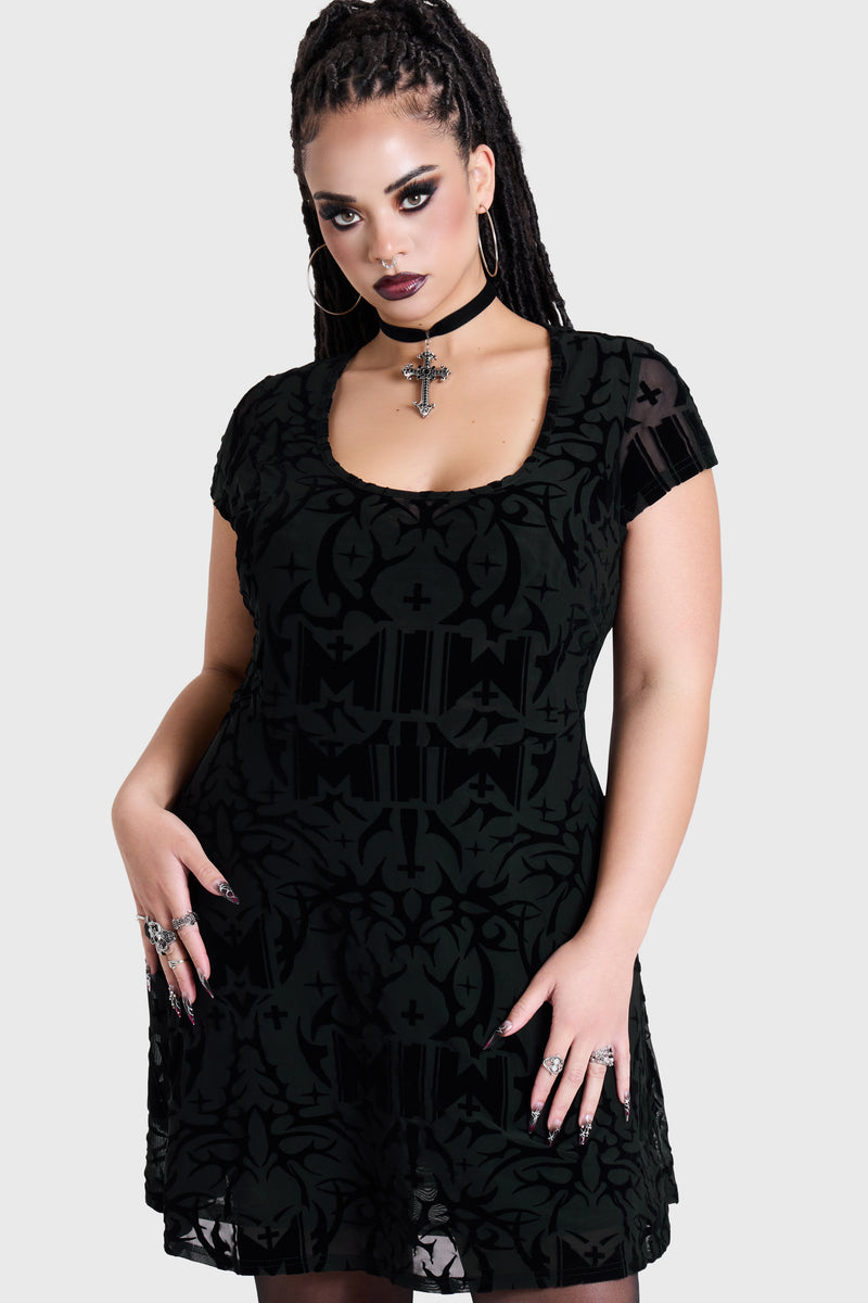 Model:plus