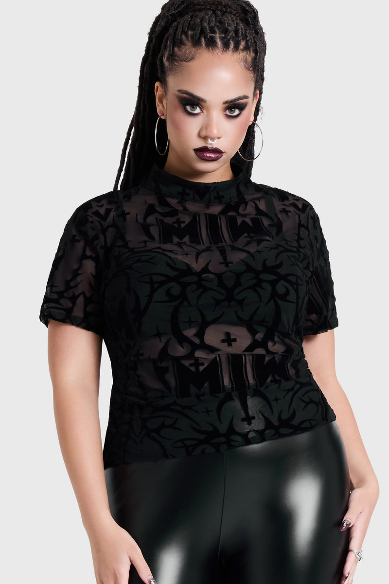 Model:plus