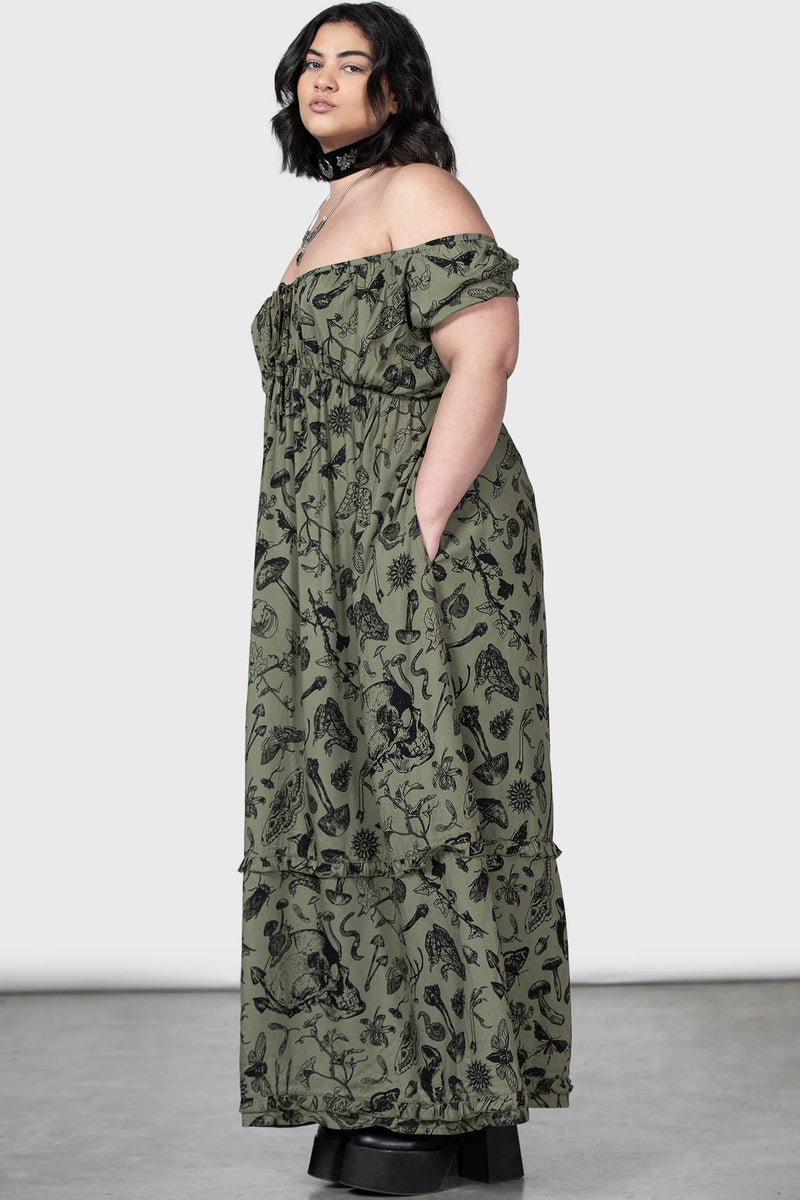 Model:plus