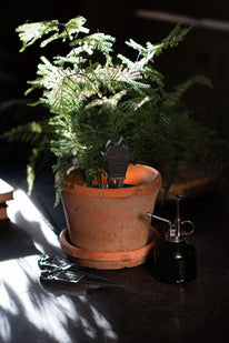 Gravestone Plant Pot Markers