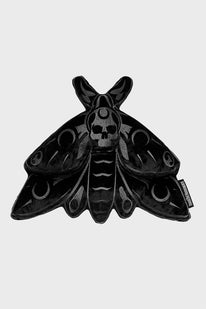 Midnight Moth Cushion