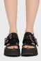 The Hollow Snake Buckle Sandal
