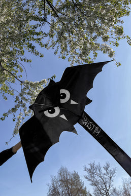 Bat Kite